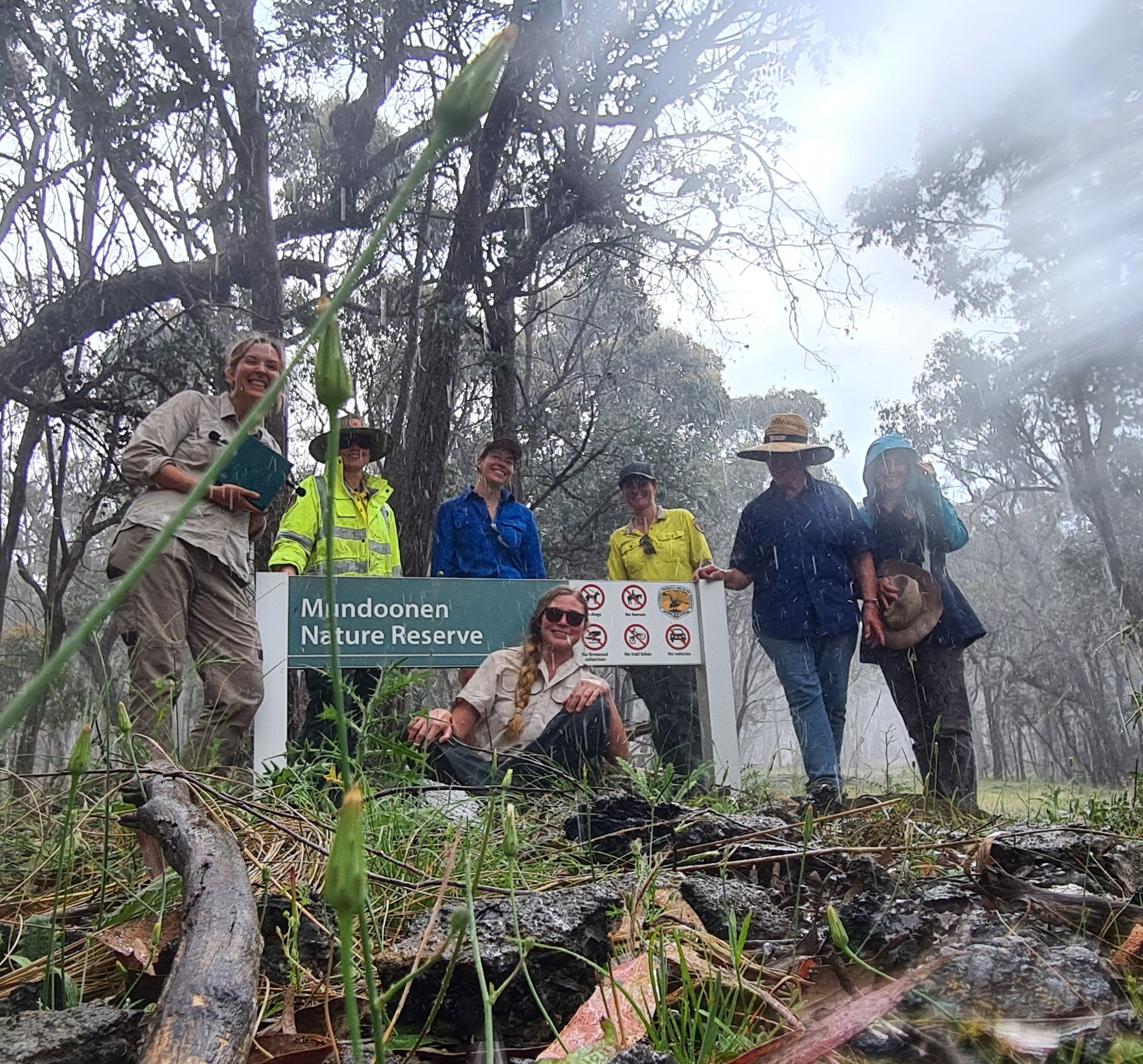 Mundoonen Gula (Koala) Monitoring alt