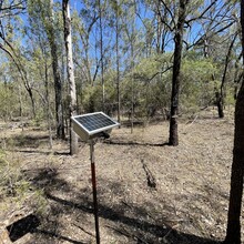 AFWI Monitoring fauna trends in managed forests