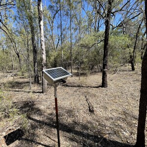 AFWI Monitoring fauna trends in managed forests image