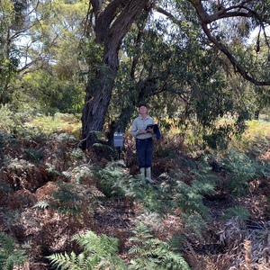 Glamping Ground image