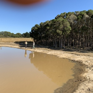 McLeod Road (private dam) image