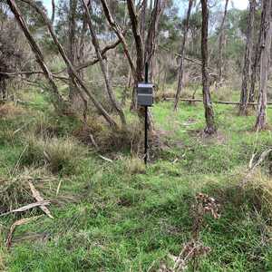 Bullock Lagoon image