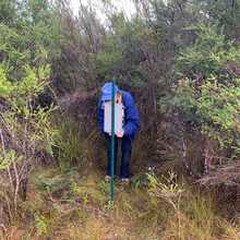 Blue Gum Road