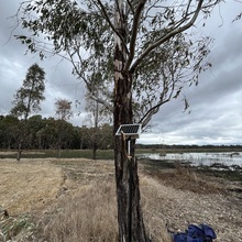 Barmah Lake 3 (BL3) - FL05