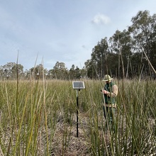 Moira Channel 1 (ML1) - Site 6