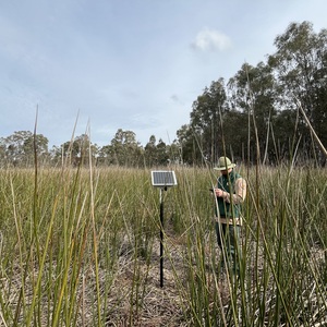 Moira Channel 1 (ML1) - Site 6 image