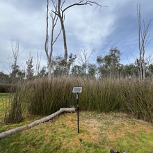 Duck Lagoon 3 (DL3) - Site 05