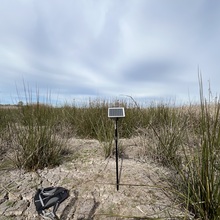 Reed Beds 3 (RB3) - Site 11