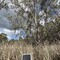 Douglas Swamp 2 (DS2)