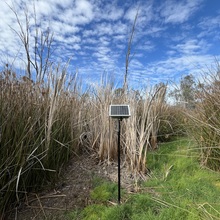 Duck Lagoon 4 (DL4)
