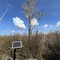 Walthours Swamp 1 (WS1)