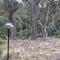 Site 1