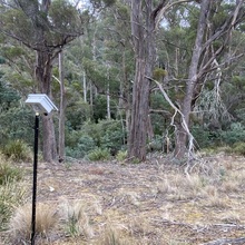 Site 1