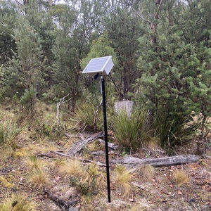 Site 2 alt