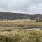 Site 3