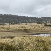 Site 3