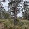 Site 4
