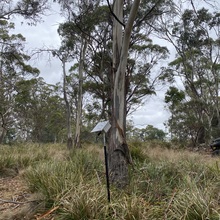 Site 4