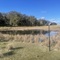 5: Long Paddock