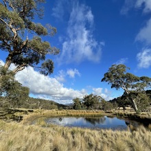 6: Big Paddock 2
