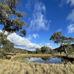 6: Big Paddock 2 alt